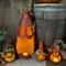 This shows a gourp of handmade pumpkin gourds lit up with a candle. each has a different face carved into the shell